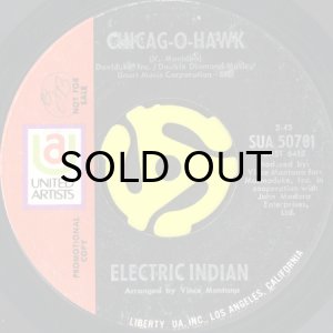 画像2: ELECTRIC INDIAN / APOTCHEE b/w CHICAG-O-HAWK (45's) (2)