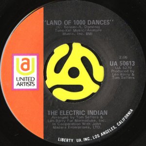 画像2: THE ELECTRIC INDIAN / GERONIMO (45's) (2)