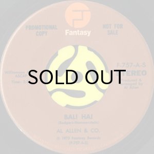画像2: AL ALLEN & CO. / BALI HAI (45's) (PROMO) (VINYL PRESS) (2)