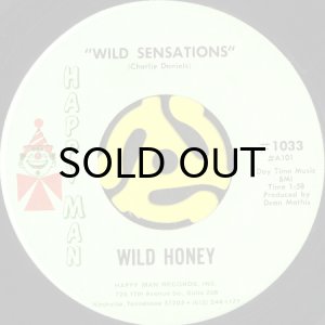 画像1: WILD HONEY / WILD SENSATIONS b/w WHAT ABOUT OUR LOVE (45's) (1)