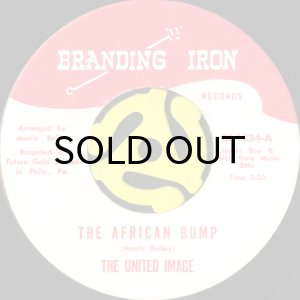 画像1: THE UNITED IMAGE / THE AFRICAN BUMP (45's) (1)