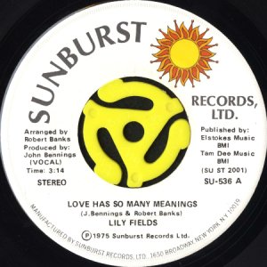 画像1: LILY FIELDS / LOVE HAS SO MANY MEANINGS (45's) (1)