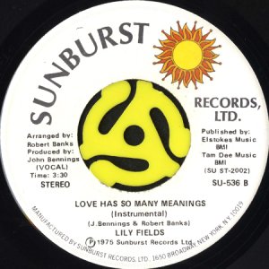 画像2: LILY FIELDS / LOVE HAS SO MANY MEANINGS (45's) (2)