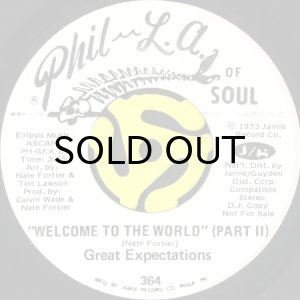 画像2: GREAT EXPECTATIONS / WELCOME TO THE WORLD (45's) (WHITE PROMO) (2)