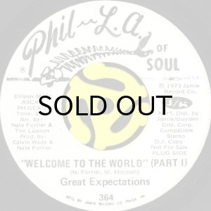 画像1: GREAT EXPECTATIONS / WELCOME TO THE WORLD (45's) (WHITE PROMO) (1)