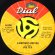 画像2: JOE TEX / I GOTCHA (45's) (VINYL PRESS) (2)
