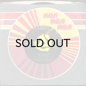 画像3: DARYL HALL & JOHN OATES / I CAN'T GO FOR THAT (NO CAN DO) (45's) (3)