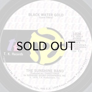 画像1: THE SUNSHINE BAND / BLACK WATER GOLD (45's) (1)