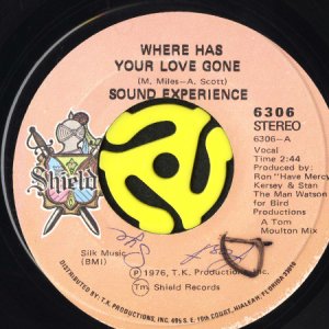 画像1: SOUND EXPERIENCE / WHERE HAS YOUR LOVE GONE b/w J.P. WALK (45's) (1)