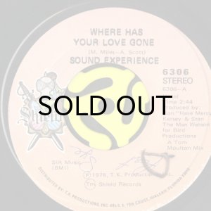画像1: SOUND EXPERIENCE / WHERE HAS YOUR LOVE GONE b/w J.P. WALK (45's) (1)