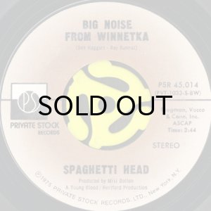 画像1: SPAGHETTI HEAD / BIG NOISE FROM WINNETKA b/w FUNKY AXE (45's) (1)