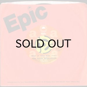 画像3: THE FIFTH REVELATION / MAKE UP YOUR MIND (45's) (WHITE PROMO) (3)