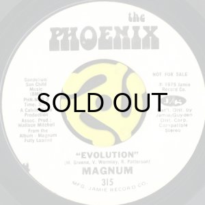画像1: MAGNUM / EVOLUTION b/w YOUR MIND (45's) (WHITE PROMO) (1)