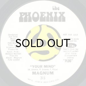 画像2: MAGNUM / EVOLUTION b/w YOUR MIND (45's) (WHITE PROMO) (2)