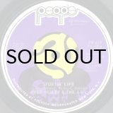 THE J.B.'S / THE GRUNT (45's) - Breakwell Records