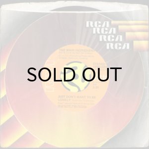 画像3: THE MAIN INGREDIENT / JUST DON'T WANT TO BE LONELY (45's) (3)