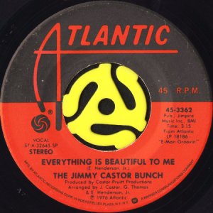 画像1: THE JIMMY CASTOR BUNCH / EVERYTHING IS BEAUTIFUL TO ME (45's) (1)