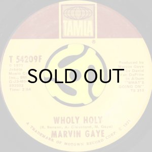 画像2: MARVIN GAYE / INNER CITY BLUES (45's) (2)