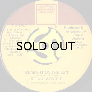 画像2: STEVIE WONDER / DON'T YOU WORRY 'BOUT A THING (45's) (2)