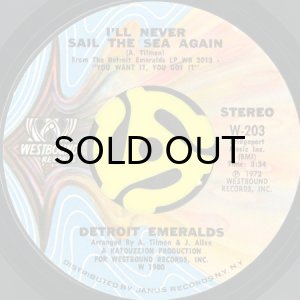 画像2: DETROIT EMERALDS / BABY LET ME TAKE YOU (IN MY ARMS) (45's) (2)