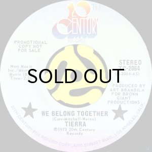 画像1: TIERRA / WE BELONG TOGETHER b/w LA FERIA (45's) (PROMO) (1)