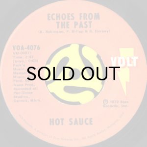 画像1: HOT SAUCE / ECHOES FROM THE PAST b/w BRING IT HOME (AND GIVE IT TO ME) (45's) (1)