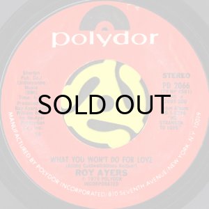 画像1: ROY AYERS / WHAT YOU WON'T DO FOR LOVE (45's) (1)