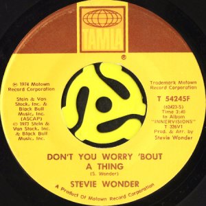 画像1: STEVIE WONDER / DON'T YOU WORRY 'BOUT A THING (45's) (1)