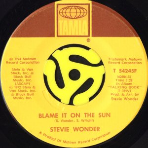 画像2: STEVIE WONDER / DON'T YOU WORRY 'BOUT A THING (45's) (2)