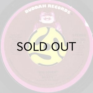 画像2: MISTY / BIG LOVER (45's) (PROMO) (2)