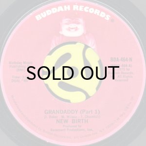 画像1: NEW BIRTH / GRANDADDY (45's) (1)