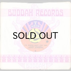 画像3: SWEET CHERRIES / I'M GONNA WAIT FOR YOU b/w DON'T GIVE IT AWAY (45's) (3)