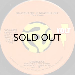 画像1: DRAMATICS / WHATCHA SEE IS WHATCHA GET (45's) (1)