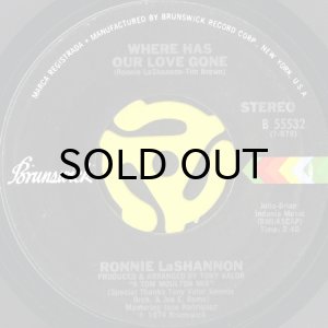 画像1: RONNIE LASHANNON / WHERE HAS OUR LOVE GONE (45's) (1)