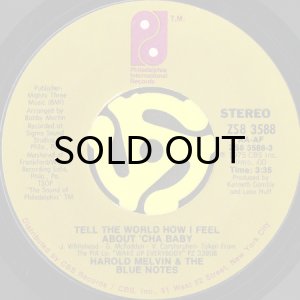 画像2: HAROLD MELVIN & THE BLUE NOTES / YOU KNOW HOW TO MAKE ME FEEL SO GOOD (45's) (2)