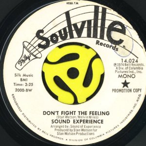 画像1: SOUND EXPERIENCE / DON'T FIGHT THE FEELING (45's) (WHITE PROMO) (1)