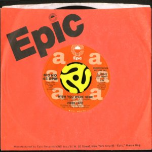 画像3: FREE LIFE / WISH YOU WERE HERE (45's) (WHITE PROMO) (3)