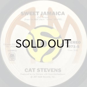 画像2: CAT STEVENS / WAS DOG A DOUGHNUT (45's) (2)