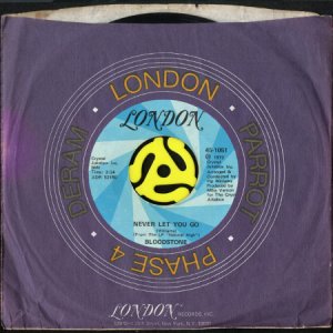 画像3: BLOODSTONE / YOU KNOW WE'VE LEARNED b/w NEVER LET YOU GO (45's) (3)