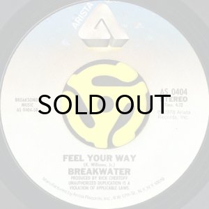 画像2: BREAKWATER / WORK IT OUT b/w FEEL YOUR WAY (45's) (2)