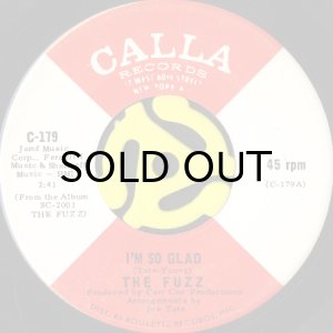 画像1: THE FUZZ / I'M SO GLAD b/w ALL ABOUT LOVE (45's) (1)