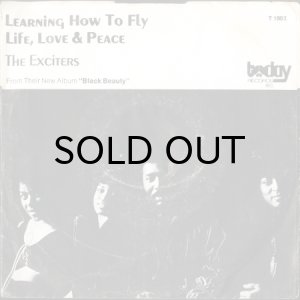 画像2: THE EXCITERS / LIFE, LOVE AND PEACE (45's) (PICTURE SLEEVE) (VINYL PRESS) (2)