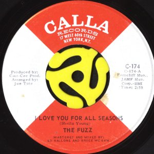 画像1: THE FUZZ / I LOVE YOU FOR ALL SEASONS (45's) (1)
