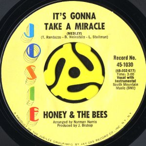 画像1: HONEY & THE BEES / IT'S GONNA TAKE A MIRACLE b/w WHAT ABOUT ME (45's) (1)