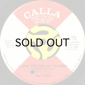 画像2: THE FUZZ / I LOVE YOU FOR ALL SEASONS (45's) (2)