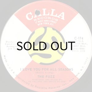 画像1: THE FUZZ / I LOVE YOU FOR ALL SEASONS (45's) (1)