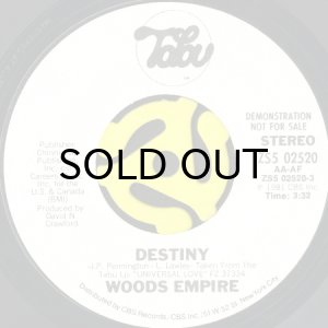 画像1: WOODS EMPIRE / DESTINY (45's) (WHITE PROMO) (1)