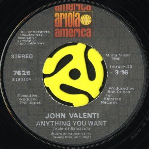 画像1: JOHN VALENTI / ANYTHING YOU WANT (45's) (1)