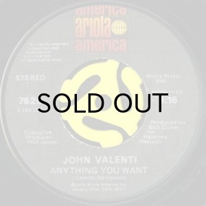 画像1: JOHN VALENTI / ANYTHING YOU WANT (45's) (1)