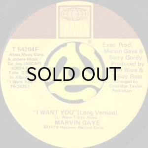 画像1: MARVIN GAYE / I WANT YOU (45's) (1)